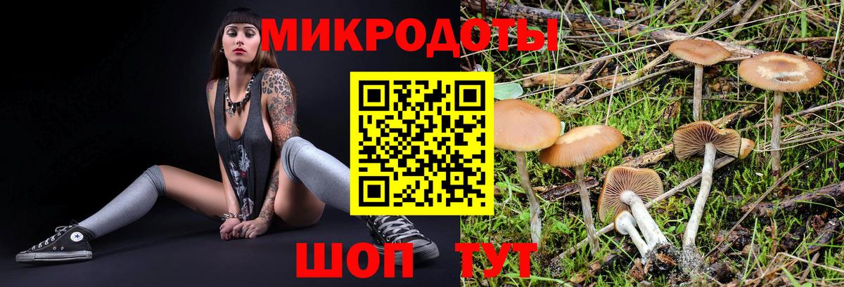 Псилоцибиновые грибы Psilocybine cubensis  Псилоцибиновые грибы MAGIC MUSHROOMS  Вход с VPN  Мытищи 